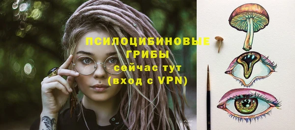МДПВ Абдулино