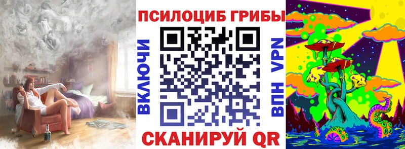 сколько стоит  Вытегра  Псилоцибиновые грибы Magic Shrooms 